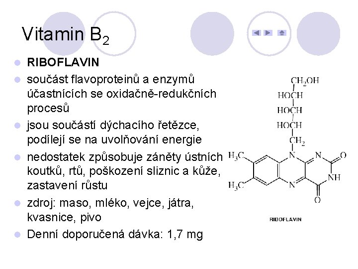 Vitamin B 2 l l l RIBOFLAVIN součást flavoproteinů a enzymů účastnících se oxidačně-redukčních