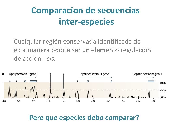 Comparacion de secuencias inter-especies Cualquier región conservada identificada de esta manera podría ser un