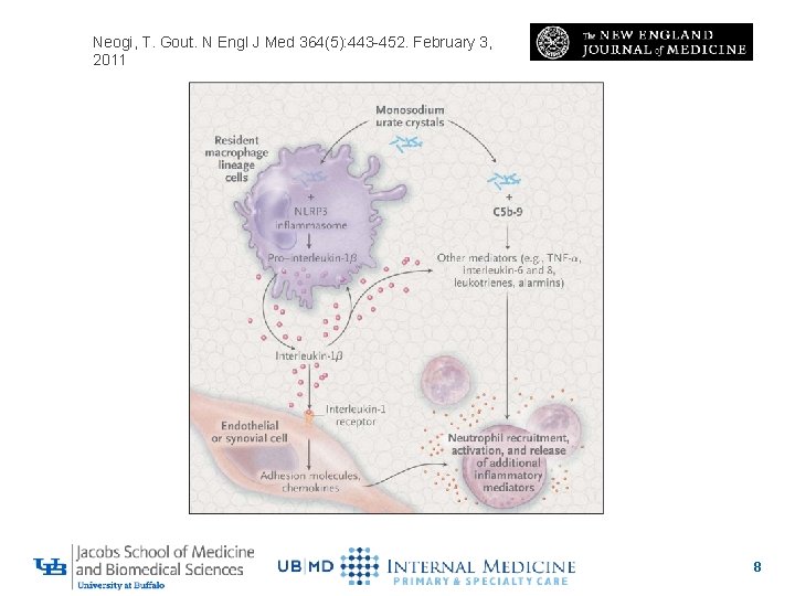 Neogi, T. Gout. N Engl J Med 364(5): 443 -452. February 3, 2011 8