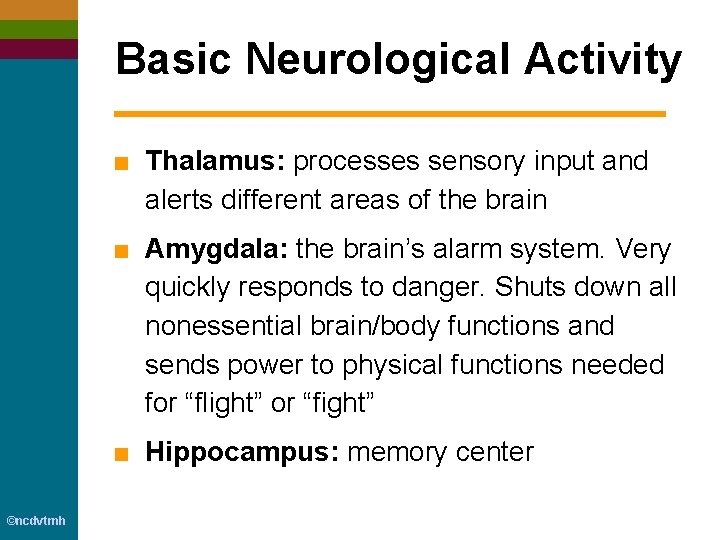 Basic Neurological Activity ■ Thalamus: processes sensory input and alerts different areas of the