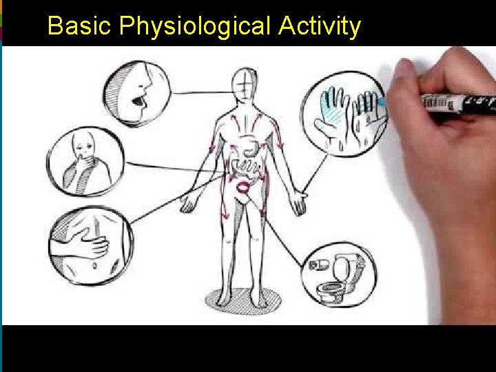 Basic Physiological Activity ©ncdvtmh 