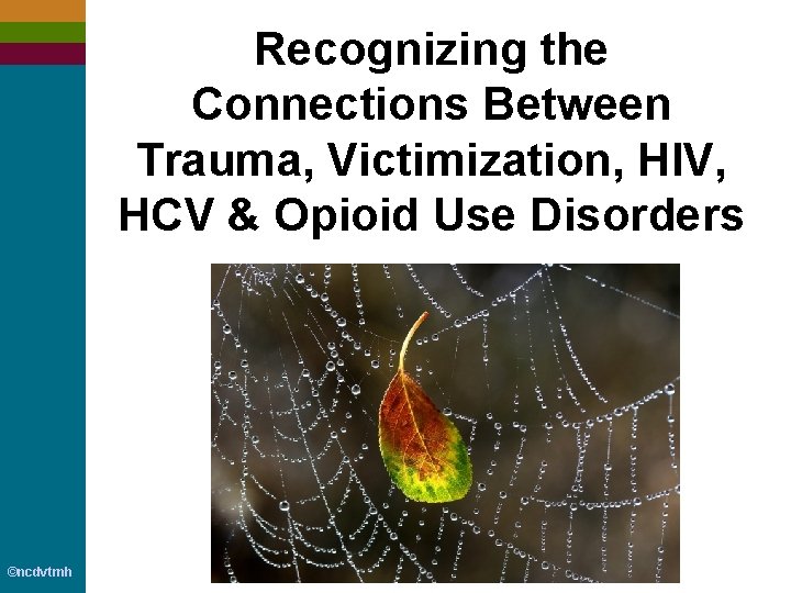 Recognizing the Connections Between Trauma, Victimization, HIV, HCV & Opioid Use Disorders ©ncdvtmh 