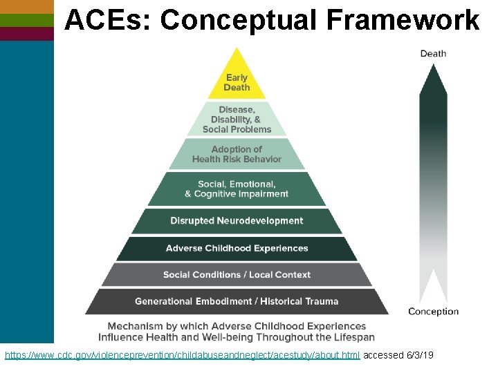 ACEs: Conceptual Framework https: //www. cdc. gov/violenceprevention/childabuseandneglect/acestudy/about. html accessed 6/3/19 ©ncdvtmh 