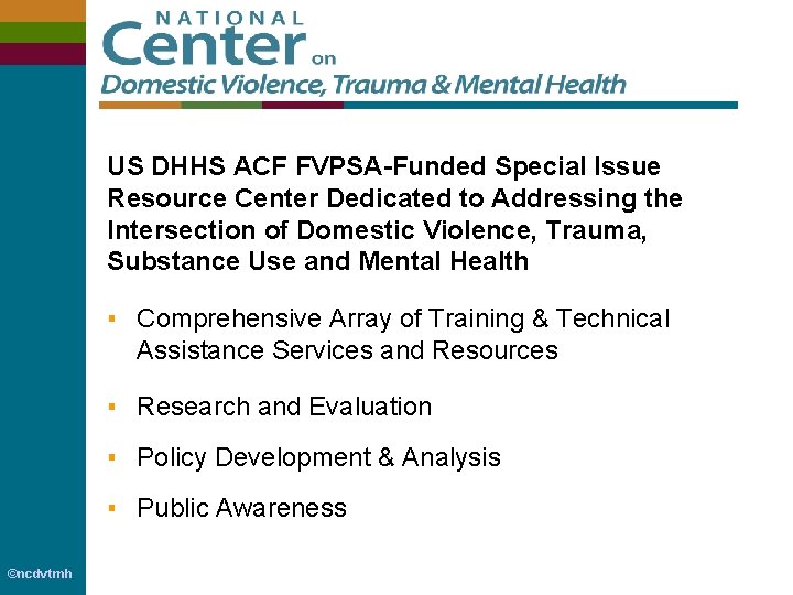 US DHHS ACF FVPSA-Funded Special Issue Resource Center Dedicated to Addressing the Intersection of