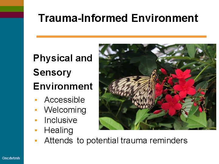 Trauma-Informed Environment Physical and Sensory Environment ▪ ▪ ▪ ©ncdvtmh Accessible Welcoming Inclusive Healing