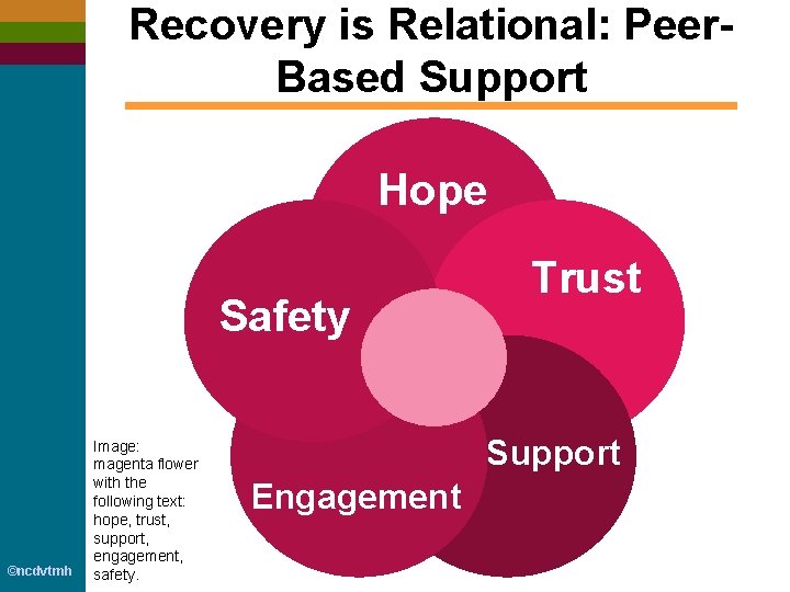 Recovery is Relational: Peer. Based Support Hope Safety ©ncdvtmh Image: magenta flower with the