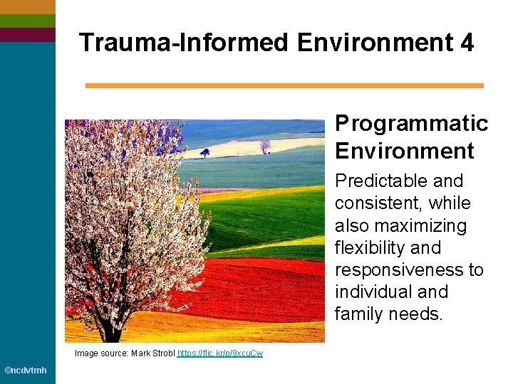 Trauma-Informed Environment 4 Programmatic Environment Predictable and consistent, while also maximizing flexibility and responsiveness