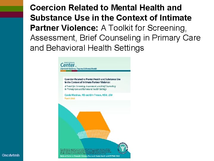Coercion Related to Mental Health and Substance Use in the Context of Intimate Partner
