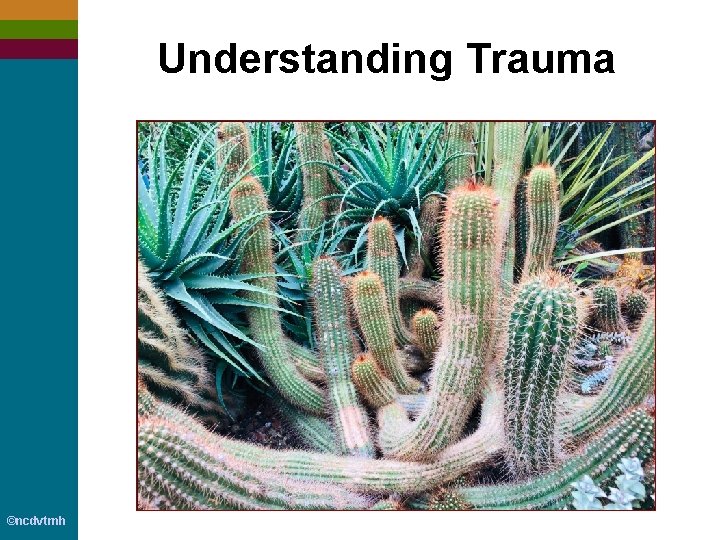 Understanding Trauma ©ncdvtmh 