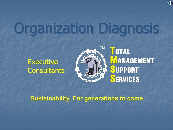 Organization Diagnosis TM Executive Consultants Sustainability. For generations to come. 
