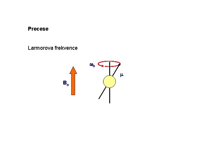 Precese Larmorova frekvence wo m Bo 