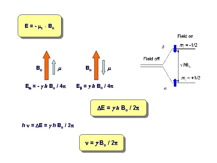 E = - mz. Bo Bo m Ea = - g h Bo /