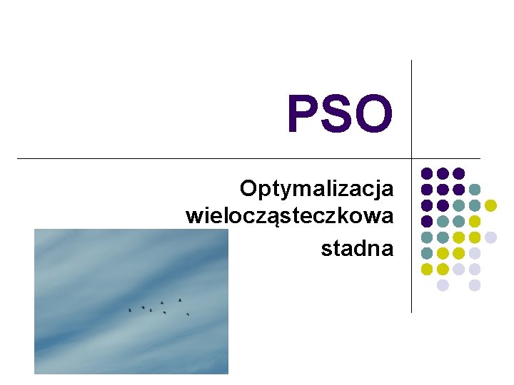 PSO Optymalizacja wielocząsteczkowa stadna 