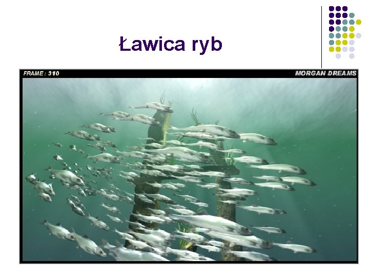 Ławica ryb 