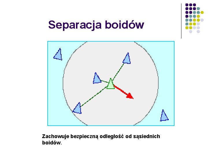 Separacja boidów Zachowuje bezpieczną odległość od sąsiednich boidów. 