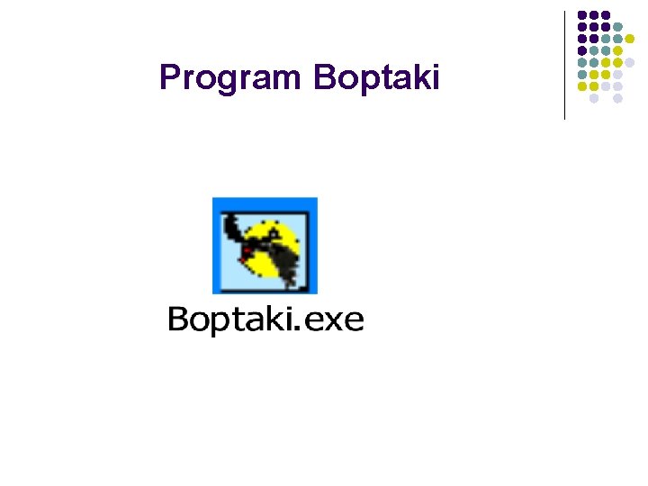 Program Boptaki 