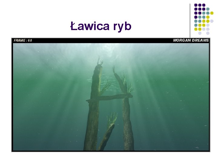 Ławica ryb 