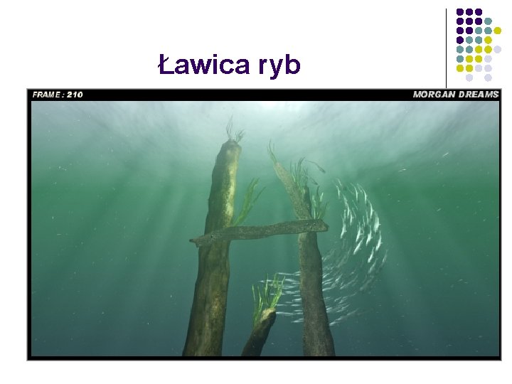 Ławica ryb 