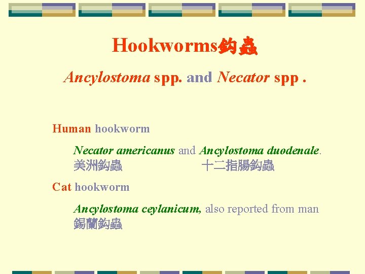 Hookworms鈎蟲 Ancylostoma spp. and Necator spp. Human hookworm Necator americanus and Ancylostoma duodenale. 美洲鈎蟲