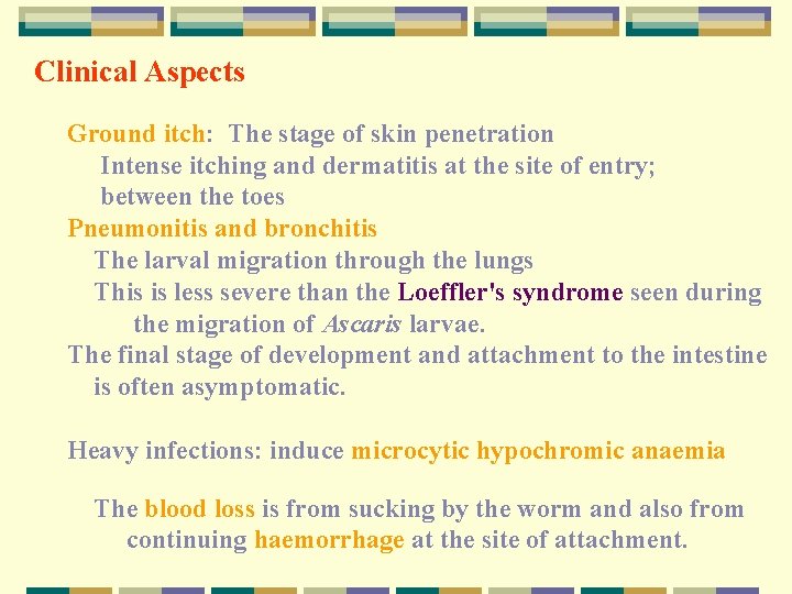 Clinical Aspects Ground itch: The stage of skin penetration Intense itching and dermatitis at