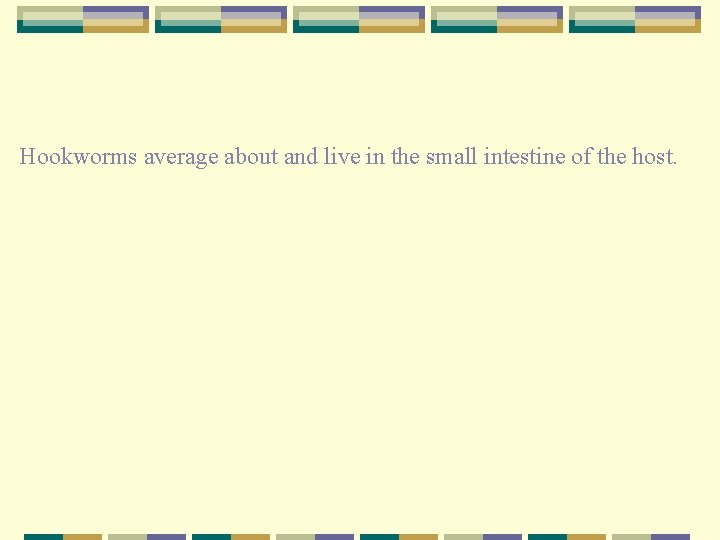  Hookworms average about and live in the small intestine of the host. 