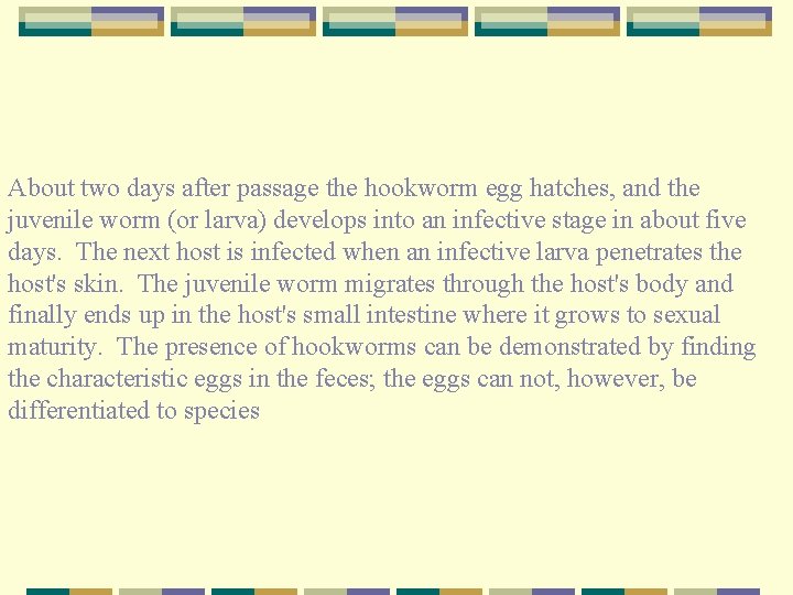 About two days after passage the hookworm egg hatches, and the juvenile worm (or