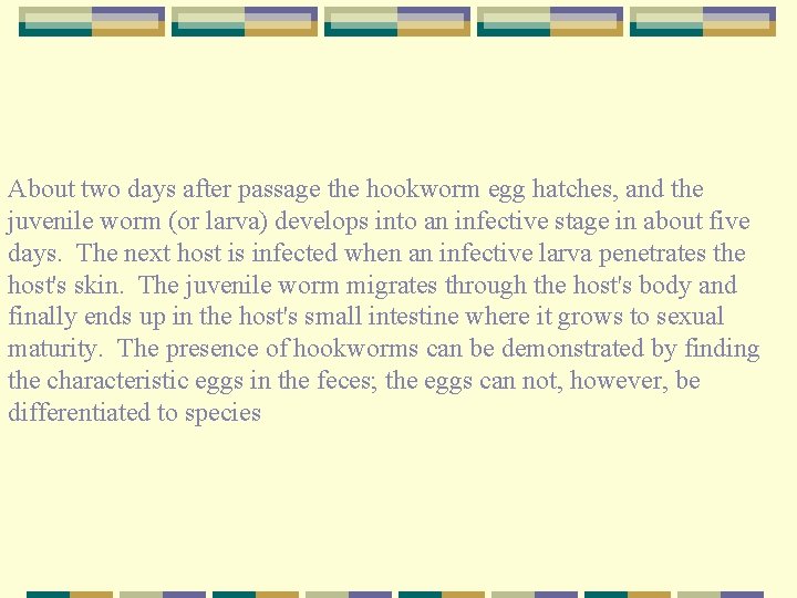 About two days after passage the hookworm egg hatches, and the juvenile worm (or
