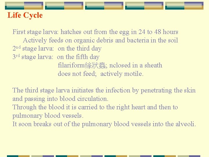 Life Cycle First stage larva: hatches out from the egg in 24 to 48