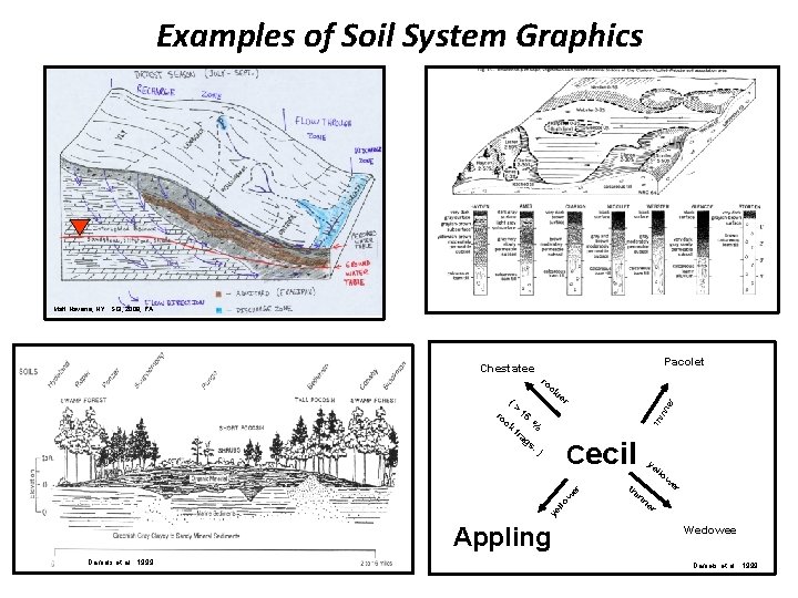 Examples of Soil System Graphics Matt Havens, NY SGI, 2008, PA Pacolet Chestatee fra Examples of Soil System Graphics Matt Havens, NY SGI, 2008, PA Pacolet Chestatee fra