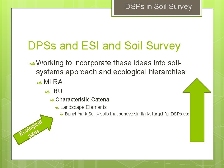 DSPs in Soil Survey DPSs and ESI and Soil Survey Working to incorporate these DSPs in Soil Survey DPSs and ESI and Soil Survey Working to incorporate these