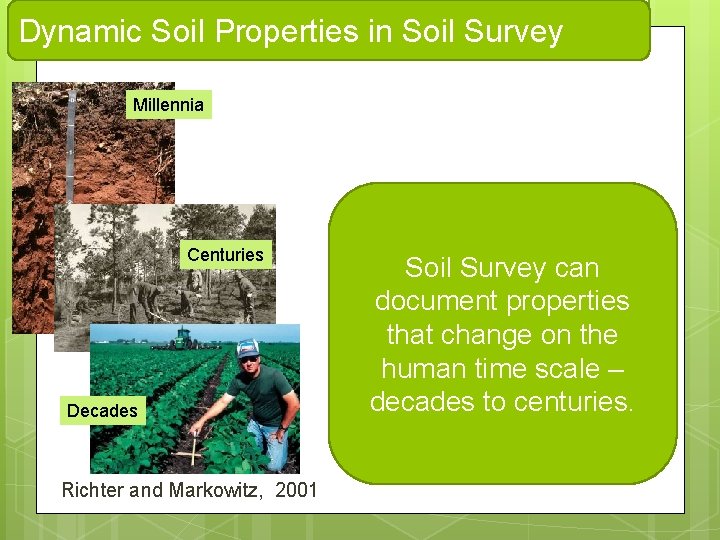 DSPs in Soil Survey Dynamic Soil Properties in Soil Survey Millennia Centuries Decades Richter