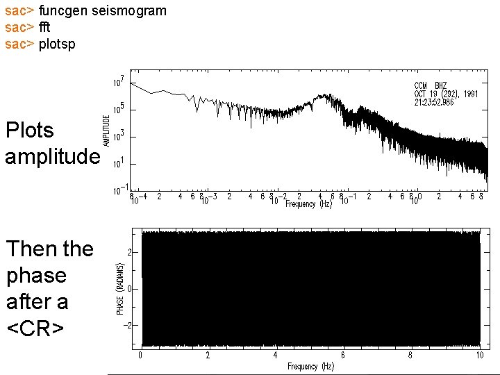 sac> funcgen seismogram sac> fft sac> plotsp Plots amplitude Then the phase after a