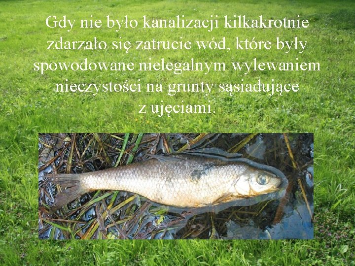 Gdy nie było kanalizacji kilkakrotnie zdarzało się zatrucie wód, które były spowodowane nielegalnym wylewaniem