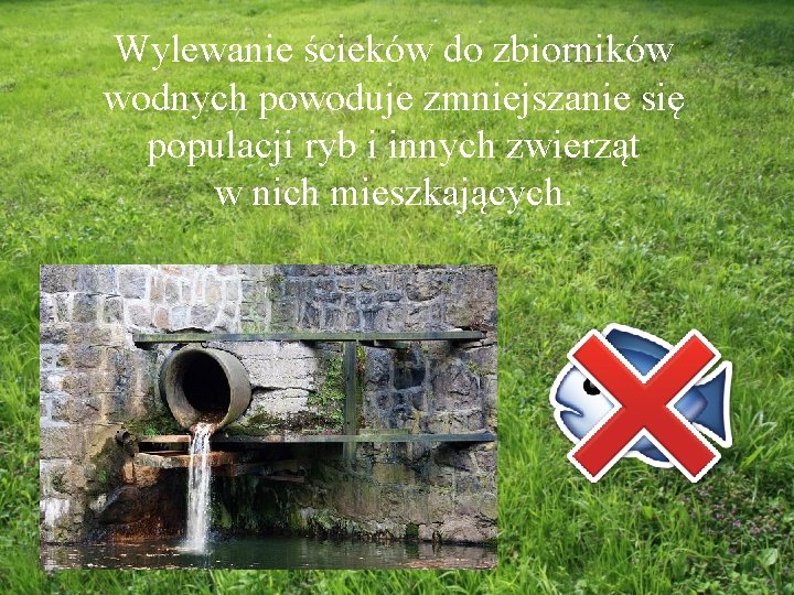 Wylewanie ścieków do zbiorników wodnych powoduje zmniejszanie się populacji ryb i innych zwierząt w