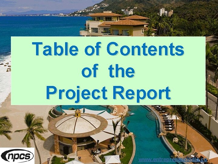 Table of Contents of the Project Report www. entrepreneurindia. co 