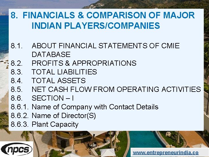 8. FINANCIALS & COMPARISON OF MAJOR INDIAN PLAYERS/COMPANIES 8. 1. ABOUT FINANCIAL STATEMENTS OF