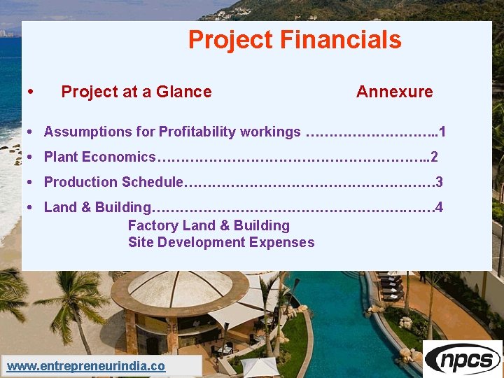  Project Financials • Project at a Glance Annexure • Assumptions for Profitability workings