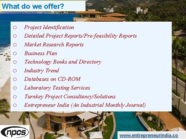 What do we offer? o o o o o Project Identification Detailed Project Reports/Pre-feasibility