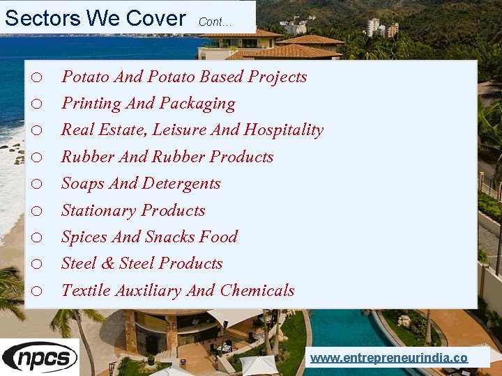 Sectors We Cover Cont… o o o o o Potato And Potato Based Projects
