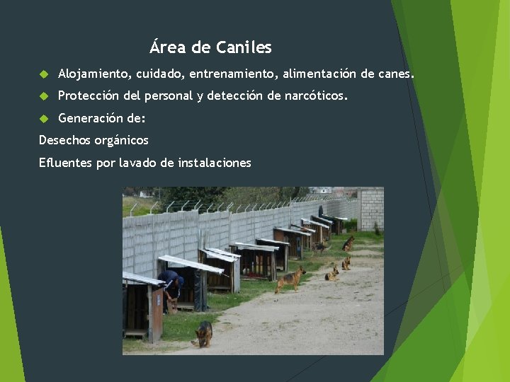 Área de Caniles Alojamiento, cuidado, entrenamiento, alimentación de canes. Protección del personal y detección