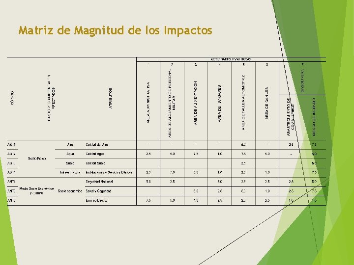 Matriz de Magnitud de los Impactos 