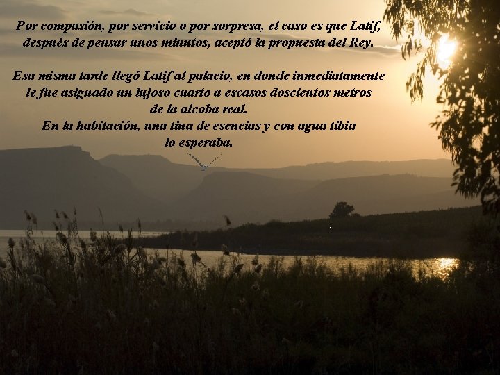 Por compasión, por servicio o por sorpresa, el caso es que Latif, después de