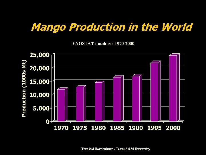 Mango Production in the World FAOSTAT database, 1970 -2000 Tropical Horticulture - Texas A&M