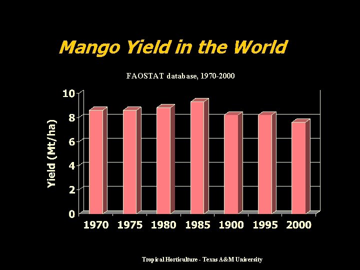 Mango Yield in the World FAOSTAT database, 1970 -2000 Tropical Horticulture - Texas A&M