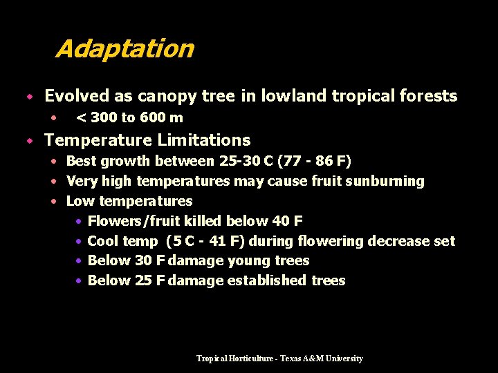 Adaptation w Evolved as canopy tree in lowland tropical forests • w < 300