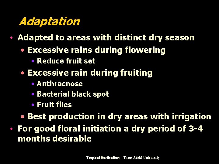 Adaptation w Adapted to areas with distinct dry season • Excessive rains during flowering