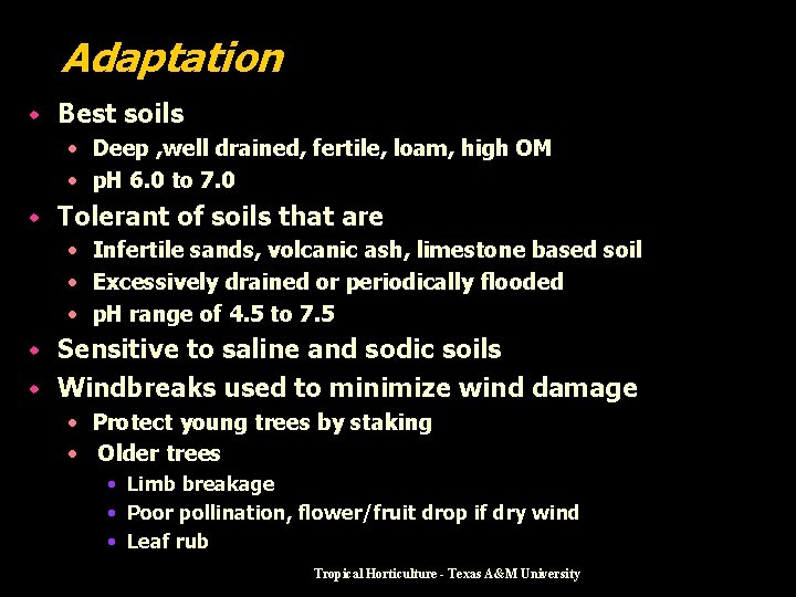 Adaptation w Best soils • Deep , well drained, fertile, loam, high OM •