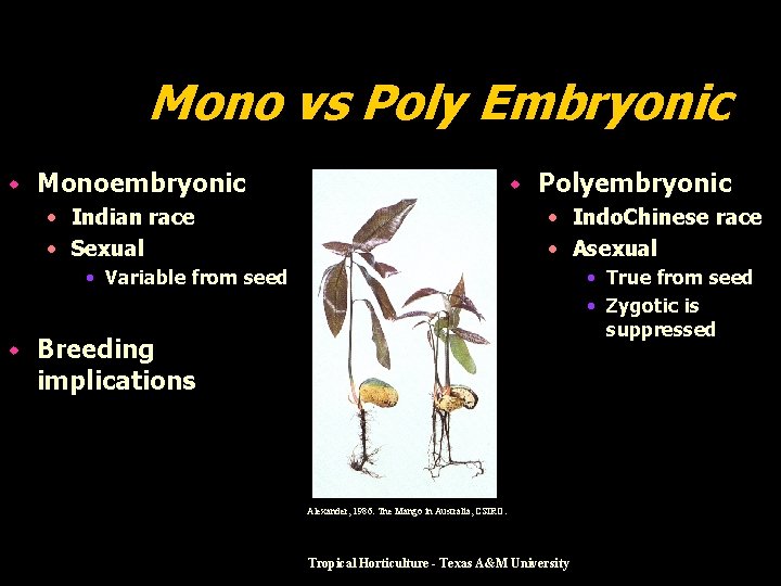 Mono vs Poly Embryonic w Monoembryonic w • Indian race • Sexual Polyembryonic •