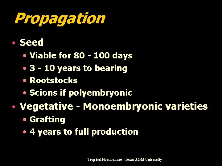 Mango Family Genus Species Anacardiaceae Mangifera indica Readings