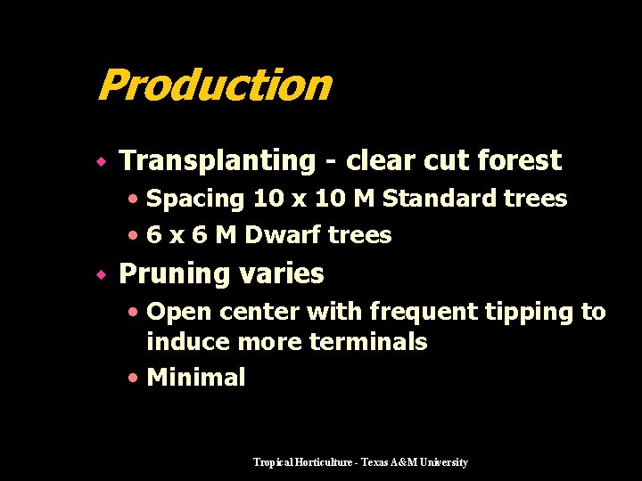 Production w Transplanting - clear cut forest • Spacing 10 x 10 M Standard
